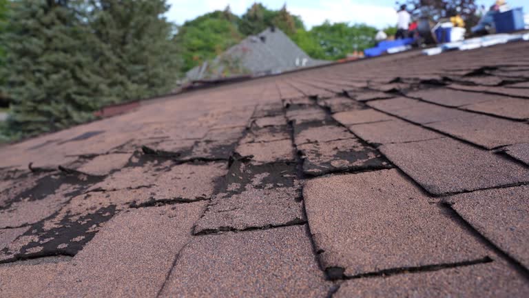 Best Roof Coating and Sealing  in Wendover, UT
