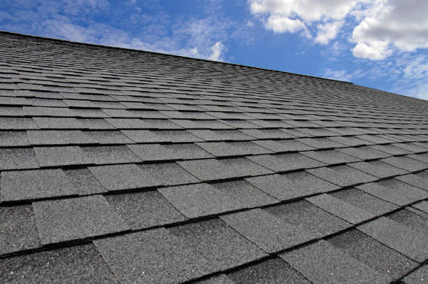 Best Roof Moss and Algae Removal  in Wendover, UT