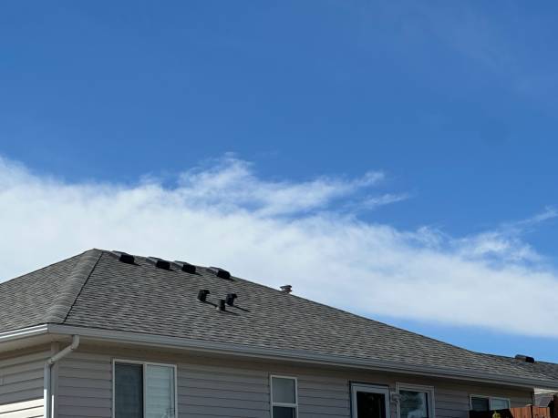 Best Sheet Metal Roofing  in Wendover, UT